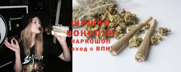 spice Волосово