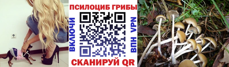 Псилоцибиновые грибы прущие грибы  Николаевск-на-Амуре 